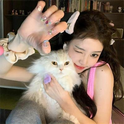 精灵高中之纽约